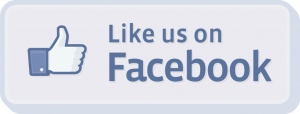 Face Book logo